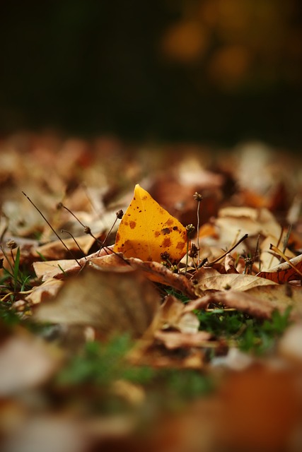 希腊队攻防两端表现亮眼